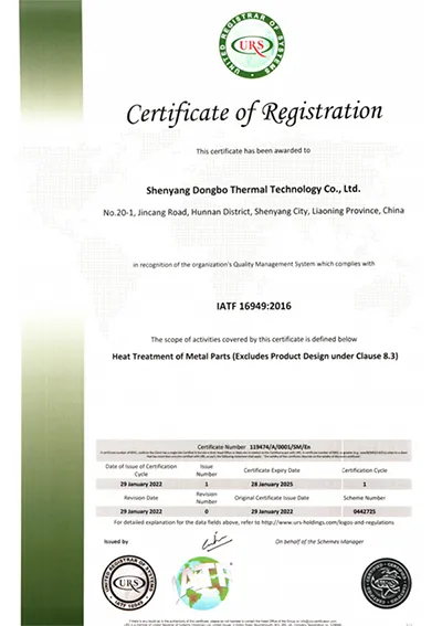 Company Profile
